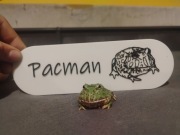 Tabliczka personalizowana do terrarium/akwarium