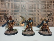 Age of Sigmar - Stormcast Eternals - Praetors