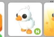 Adopt me hapoy duckling