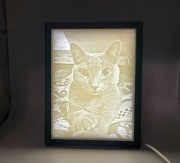 LITOFANIA Z TWOIM KOTEM – Unikalna Ramka LED 3D/ Prezent dla Kociarza/ Kot