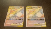 Karta Pokemon Raichu&AlolanRaichu