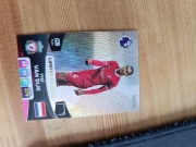 Sprzedam karte Premier League 2024 VVD