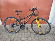 Rower Author a-matrix 26