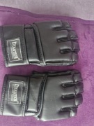 Rękawice MMA Evolution