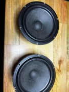 RS Audio Revelation mid/woofer 165 
