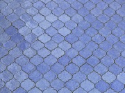 Płytki koniczyna marokańska