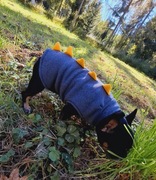 Ubranie/Bluza dino dla psa