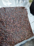 Mix Rzepik Konopia 1 kg zanęta na ryby 