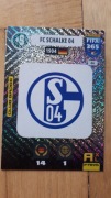 FIFA 365 2021 HERB  LOGO SCHALKE NR.46
