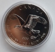Orzeł Bielik (Bald Eagle) canada 1 uncja srebra