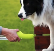 POIDŁO BIDON DLA PSA KOTA PRZENOŚNE BUTELKA GRATIS