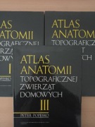 Atlas anatomii topograficznej zwierząt domowych tomy 1-3 -Peter Popesko