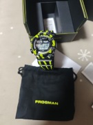 Casio g , frogman 