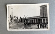 Pocztówka vintage trofea łowiectwo Międzyn. Wystawa Łowiecka w Berlinie