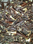 Młode gałązki brzozy 100 g