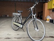 Rower elektryczny Multicycle MC