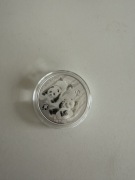 Chińska Panda 2022 1 uncja srebro