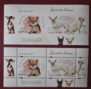 Fi: 5461** ND AB. Pies Chihuahua.