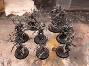 Sylvaneth Twistweald Warcry/Age of Sigmar