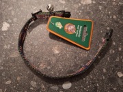 obroża dla kota z dzwoneczkiem