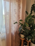 Zasłonki brąz koła złota nitka 