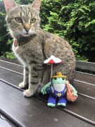 figurka żabki handmade