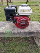 Silnik spalinowy honda 