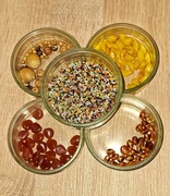 Zestaw 1300 koralików do robienia naszyjników bransoletek biżuterii+GRATISY