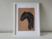 Obraz rysunek pastele koń (33) portret karego konia