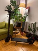 Hulajnoga Wispeed T855 300W