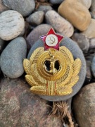 Odznaka Marynarki Wojennej Rosja ZSRR 