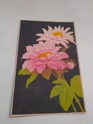 kwiaty / kartka z obiegu 1917