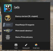 KONTO STEAM CS2 PRIME / PREMIER READY / CS2 