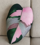 Ozdobna Poduszka Philodendron Pink Princess liść 48cm x 34 cm