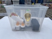 Pudło z Rzeczami na Nagrobek