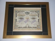 AKCJA  S. ROSENBLATT 5000 Rb 1893 r. w OPRAWIE