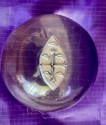 Szkockiej ozdoby wtopione influenza z Glasgow