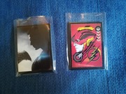 Naklejki Panini Justice League Liga Sprawiedliwości