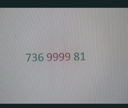 Złoty Numer 736.9999.81 Virgin Mobile