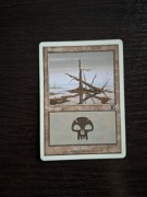 Swamp. Magic The Gathering 