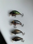 Salmo Tiny w starych kolorach