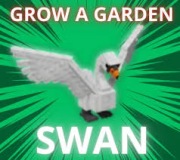 SWAN | GROW A GARDEN | ROBLOX | DOSTAWA W 3 MINUTY!
