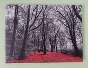 Obraz na płótnie 30x40 Pejzaż Natura Praca autorska Rama Abstrakcja  