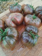 BLOOD MOON nasiona Pomidor Kolekcjonerski