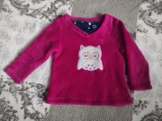st bernard for dunnes stores r. 98- 104