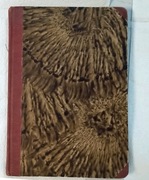 Człowiek Żołnierz Obywatel Edward Śmigły Rydz 1936