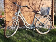 Rower Diamant Topas Deluxe