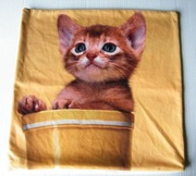 POSZEWKA NA PODUSZKĘ JASIEK 42 x 42 z kotkiem koty koteczki koteńki kotusie