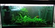 Akwarium 200l z pełnym osprzętem 