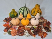 Mydło glicerynowe dynia